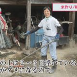 生産者見つけました　楽しみながら米づくり