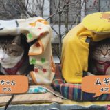 （取材日：１２月１５日　取材地：池田町大利）